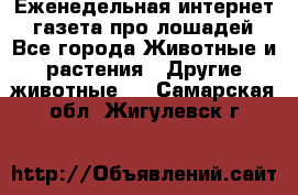 Еженедельная интернет - газета про лошадей - Все города Животные и растения » Другие животные   . Самарская обл.,Жигулевск г.